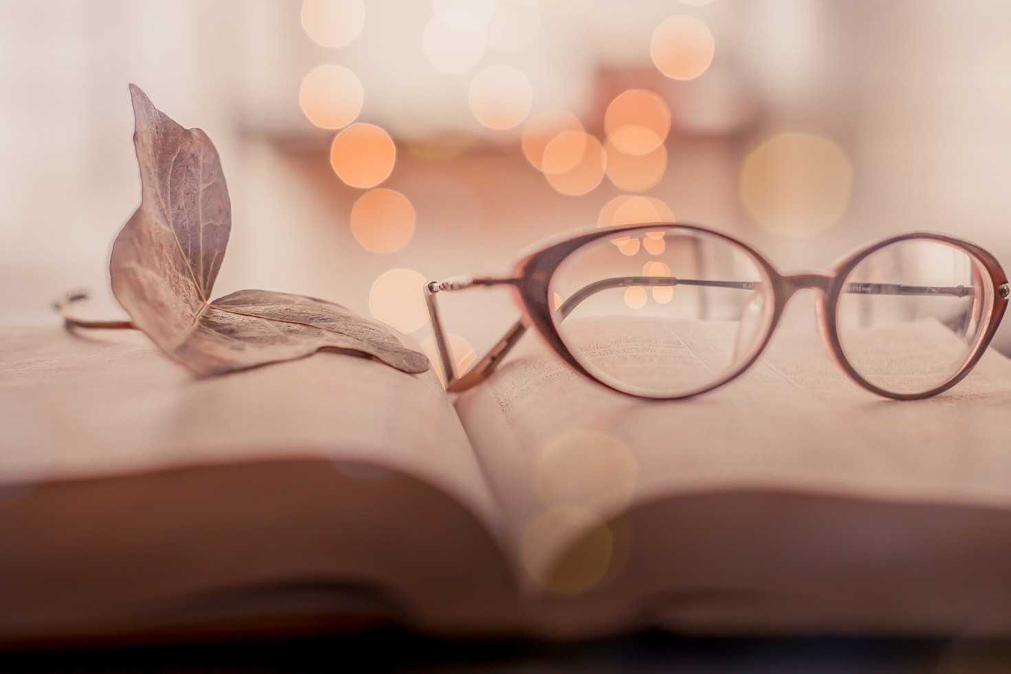 Read more about the article The Art of Capturing Personal Moments